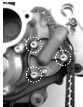 GAS GAS EC FSE 400 - Démontage du moteur - 24