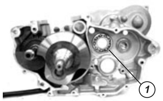 GAS GAS EC FSE 400 - Coussinets - 1