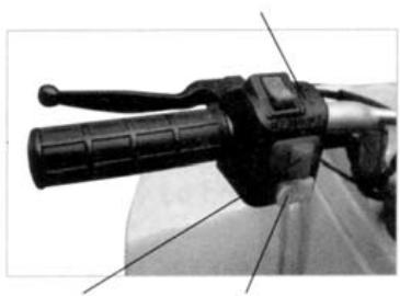 GAS GAS K2 QUAD 50 - Description - 1