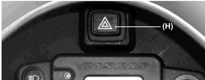 GAS GAS WILD HP 450 - REMARQUE - 1