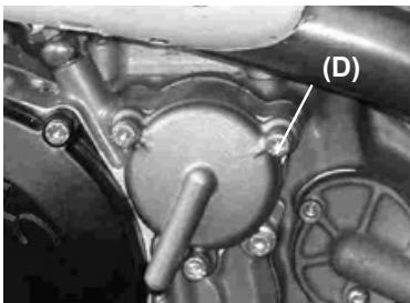 GAS GAS WILD HP 450 - ATTENTION - 2