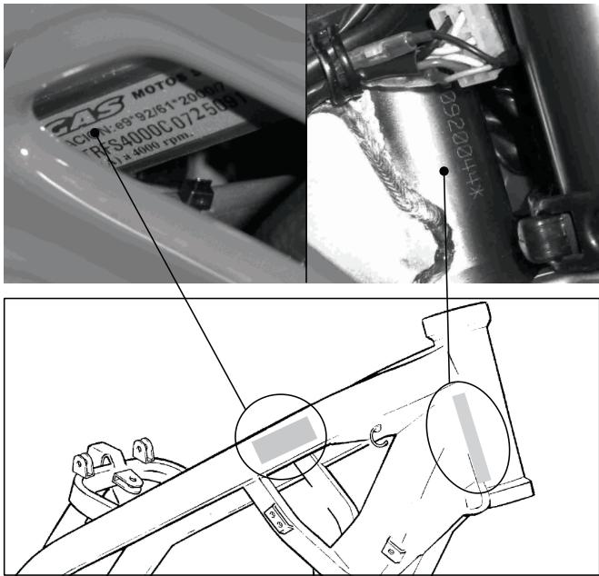 GAS GAS EC515 - Plaque d'homologation - 1