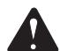 HOMELITE HG5000 - ADVERTENCIA: - 1
