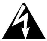 FENDER CYBER-TWIN - Avertissements : - 1