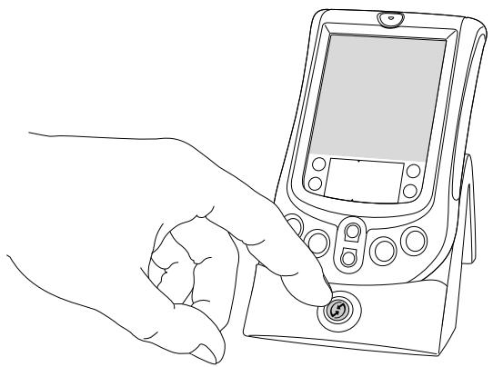PALM M100 - Utilisation du logiciel palm desktop - 1