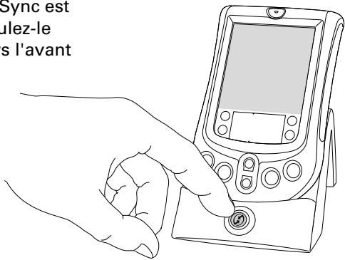 PALM M125 - Effectuez une hotSync - 1