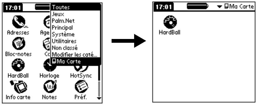 PALM M500 - Pour basculer vers une carte d'extension : - 1