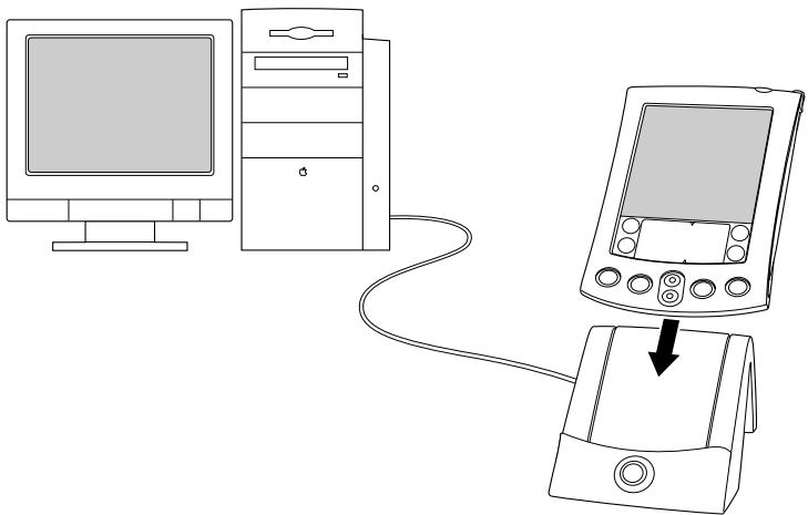 PALM M515 - Pour installer le logiciel palm desktop sur un macintosh : - 1