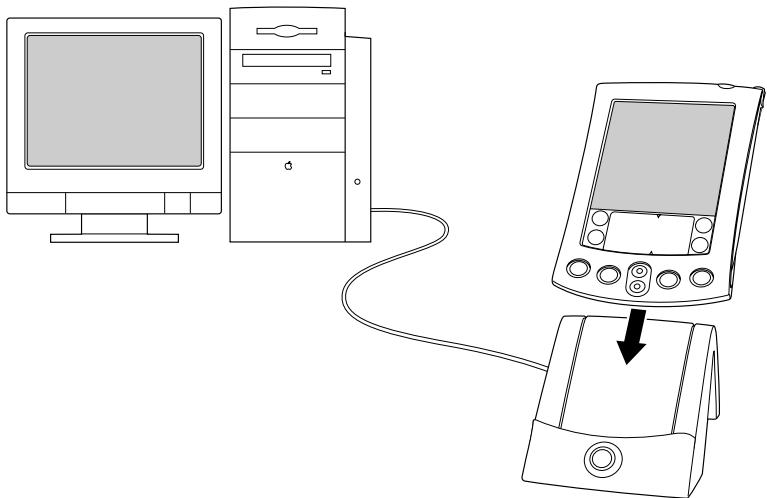 PALM M515 - Pour exécuter une hotsync locale sur un macintosh : - 1