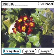 PALM TREO 600 - Pour prendre une photo - 1
