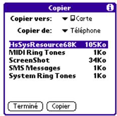 PALM TREO 600 - Copie d'applications sur une carte d'extension - 1