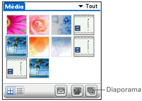 PALM TUNGSTEN T5 - Affichage d'un diaporama - 2