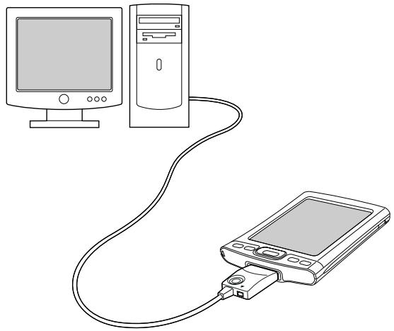 PALM TUNGSTEN T5 - Étape 4 : connexion de votre ordinateur de poche à votre ordinateur de bureau - 2