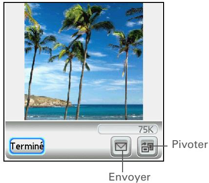 PALM TUNGSTEN T5 - Conseil - 1