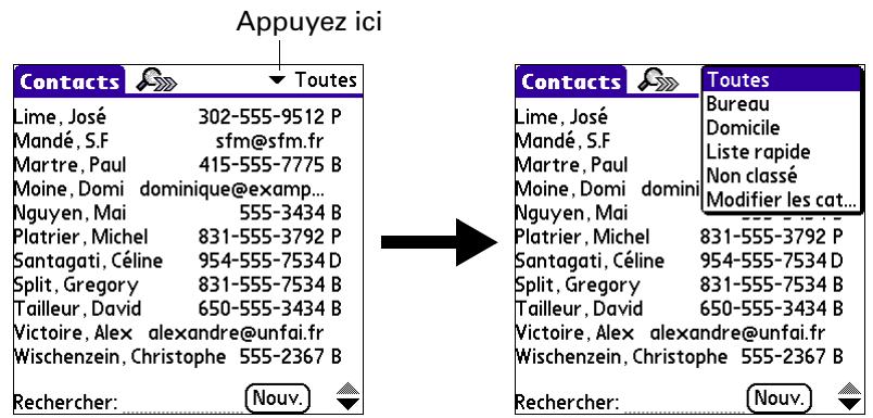 PALM TUNGSTENT E - Pour afficher une catégorie d'enregistrements : - 1