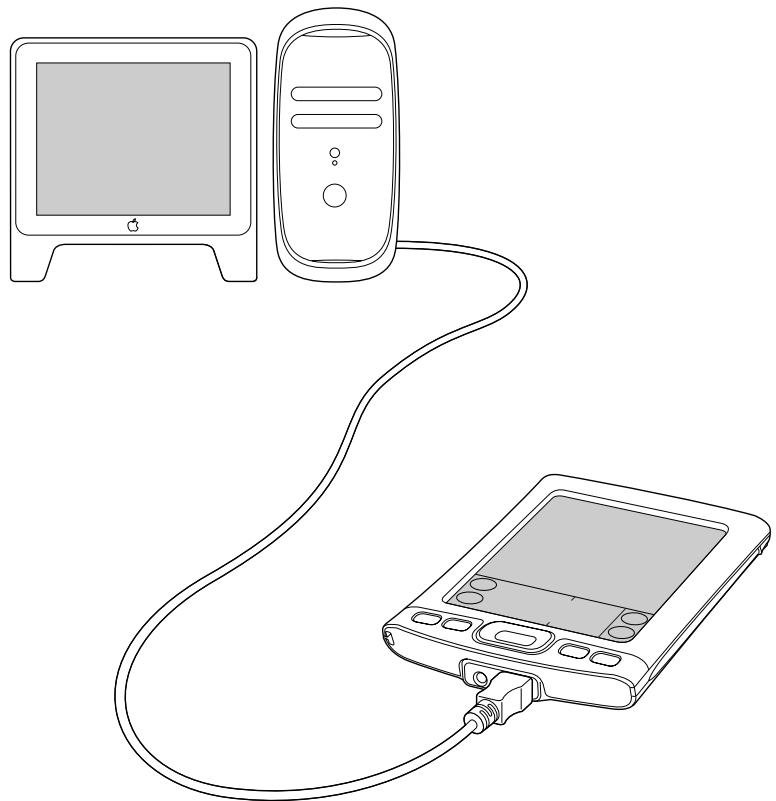 PALM TUNGSTENT E - Pour exécuter une opération hotsync sur un macintosh : - 1