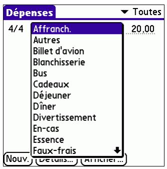 PALM TUNGSTENT E - Pour ajouter une dépense - 3