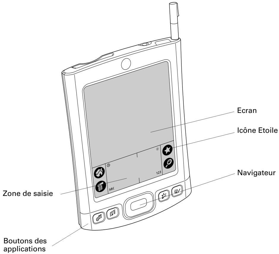 PALM TUNGSTENT E - Emplacement des commandes du panneau frontal - 1