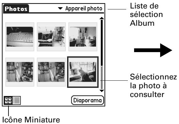 PALM TUNGSTENT E - Pour afficher des photos dans la vue miniature : - 1