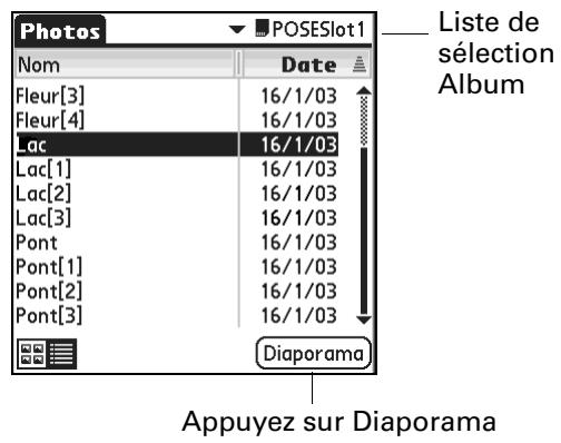 PALM TUNGSTENT E - Pour afficher un diaporama : - 2