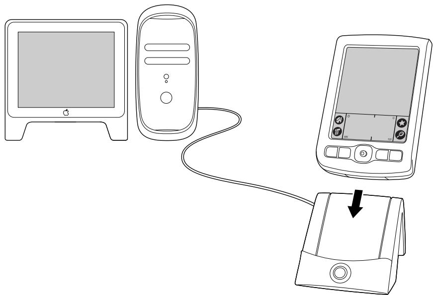 PALM ZIRE 71 - Pour effectuer une opération hotSync locale sur macintosh : - 1