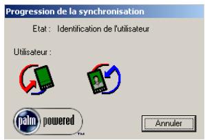 PALM ZIRE 71 - Pour exécuter une hotsync locale sous windows : - 3
