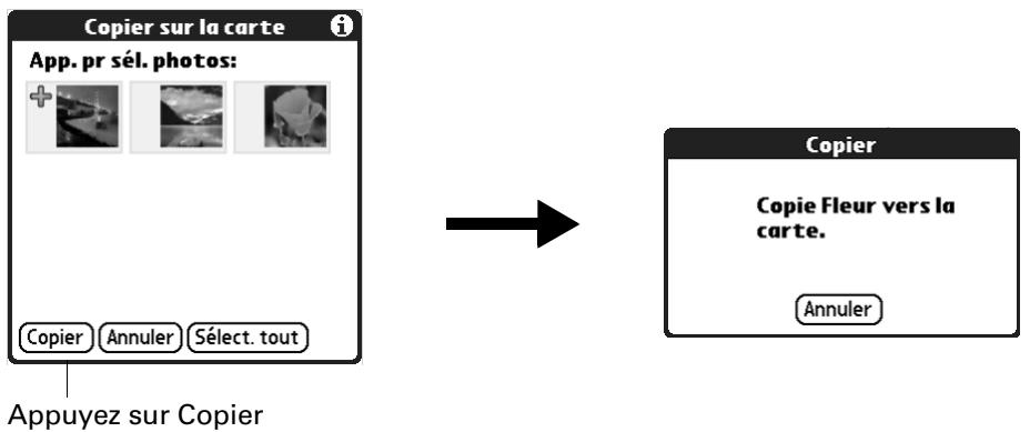 PALM ZIRE 71 - Pour copier des photos : - 2