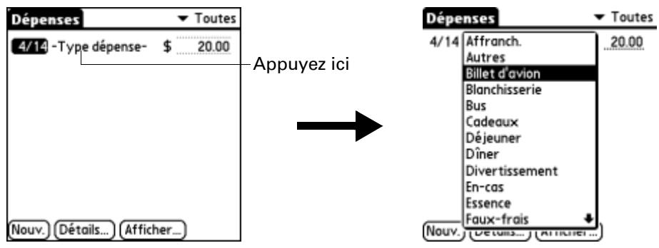 PALM ZIRE 71 - Appuyez sur nouv. - 2