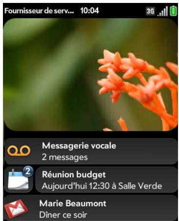 PALM PIXI PLUS - Affichage de l'intégralité des notifications reçues - 1