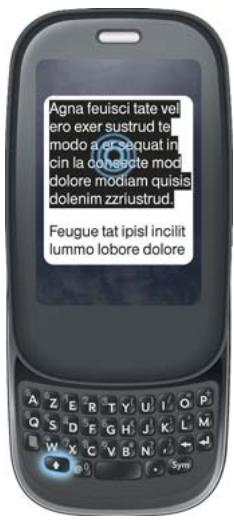 PALM PRE PLUS SFR - Gestes de sélection de texte - 4
