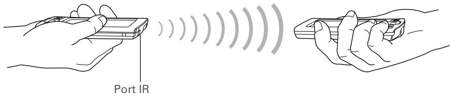 PALM TUNGSTEN T5 - Conseil - 1