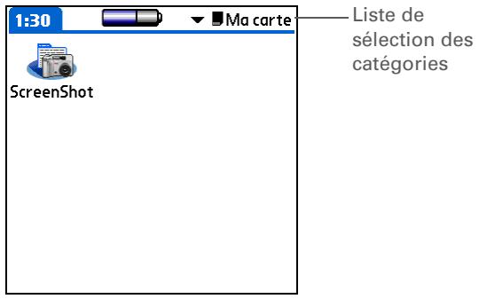 PALM TUNGSTEN T5 - Ouverture d'une application sur une carte d'extension - 1