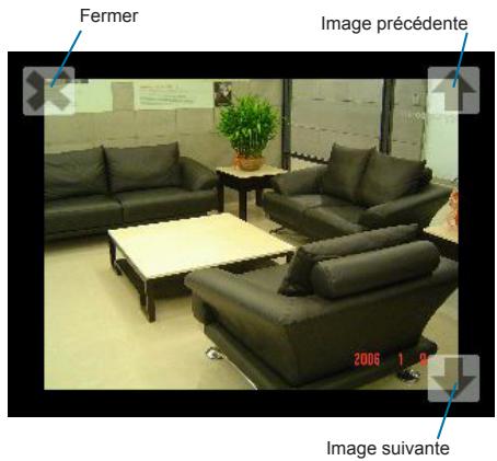 DANEW GS-220 - Vue en photo - 3
