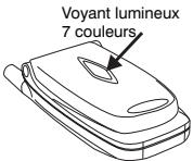 NEC N21I - Selectionner la langue de notre choix - 2