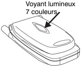 NEC N21I - Suppression d'une entrée du repertoire - 1