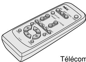 NEC VT45 - Que contient la boite? - 4