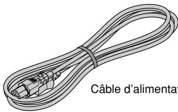 NEC VT45 - Que contient la boite? - 7
