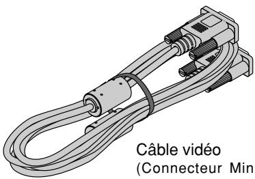 NEC VT45 - Que contient la boite? - 9