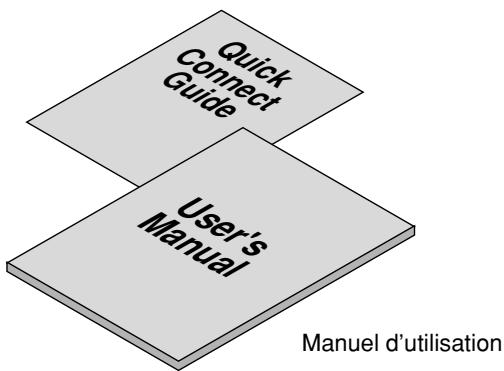 NEC VT45 - Que contient la boite? - 10