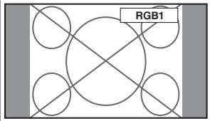 NEC 50XM6 - Definções NAV. ZOOM - 1