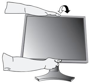 NEC LCD2190UXI - Inclínación - 1