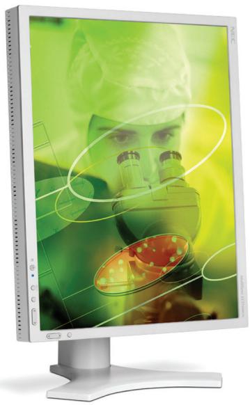 NEC LCD2190UXI - 2