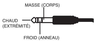 EDIROL FA-66 - Entrées sur connecteurs combo (jack/XLR) - 2