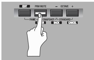 EDIROL PCR-500 - PRM MUTE - 1