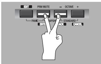 EDIROL PCR-800 - Snapshot - 1