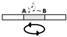 EDIROL R-4 - A-B Repeat button [A-B REPEAT] - 3