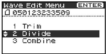 EDIROL R-4 - Divide - 1