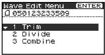 EDIROL R-4 - Trim - 1