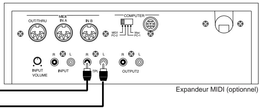 EDIROL UA-100 - Branchement de l'appareil audio - 5