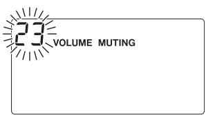 TEAC MC-DX32I - Muting - 2